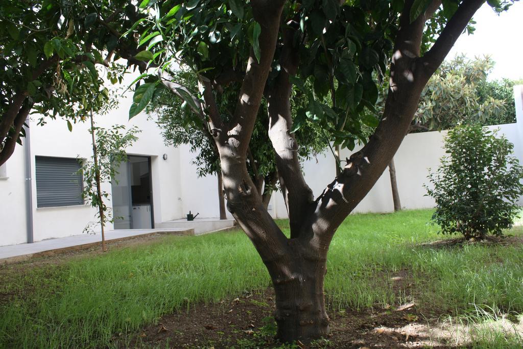 Residencia Mayol - Adults Only ปัลมาเดมายอร์กา ห้อง รูปภาพ